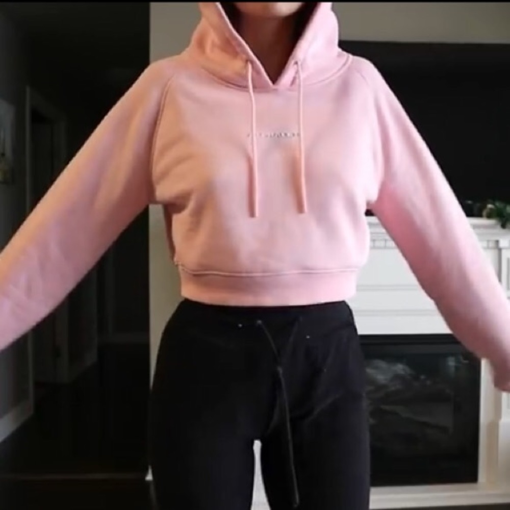 (Rare) Alphalete crop hoodie - Picture 8 of 8